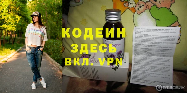 метадон Алексин