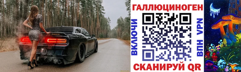 ссылка на мегу как войти Куса Галлюциногенные грибы мицелий наркотики